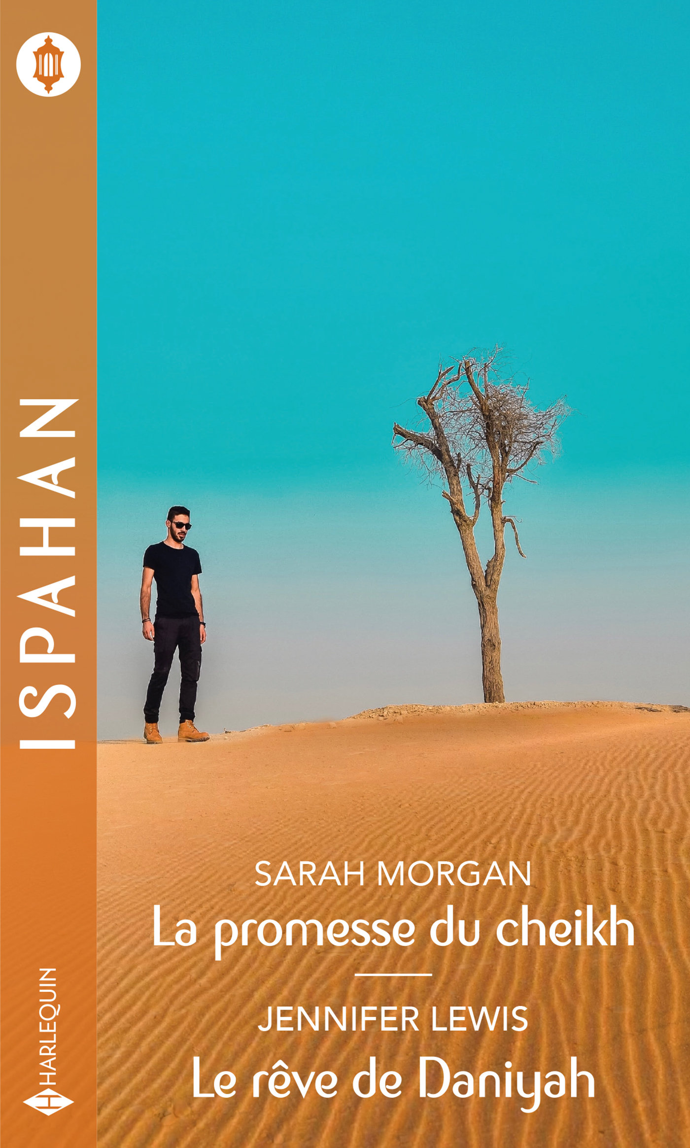 Sarah Morgan Coup De Foudre A Manhattan