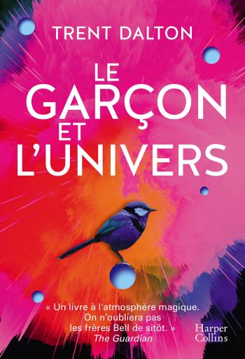 Le garon et l'univers