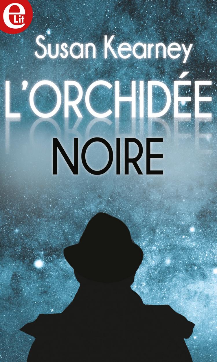 Lorchidée Noire Harlequin - 